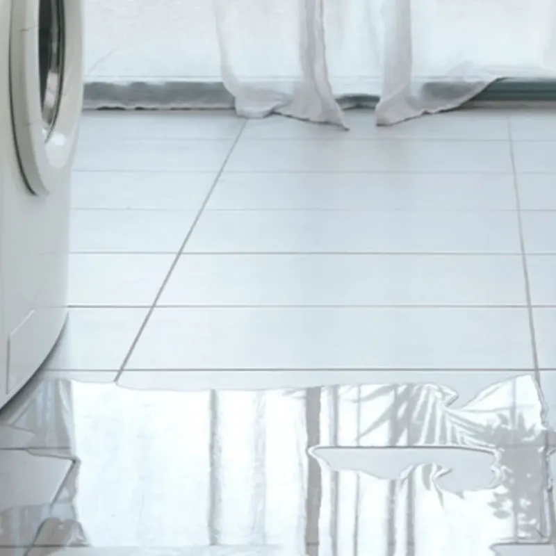 Appliance Leak Cleanup in Lake Summerset, IL