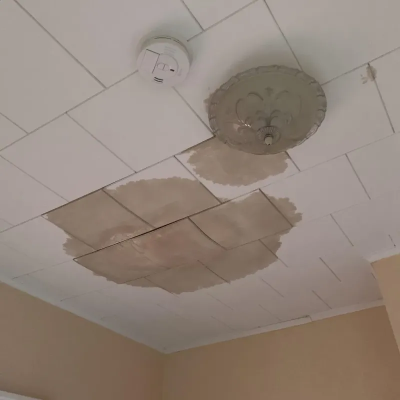 Ceiling Water Damage Repair in Lake Summerset, IL