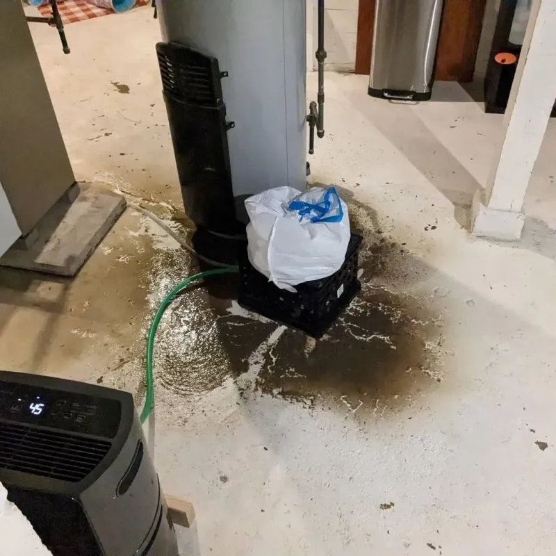 Sewage Backup Cleanup Service in Lake Summerset, IL